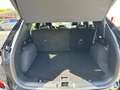 Ford Kuga ST-Line X Panorama Technologie Paket Winter Noir - thumbnail 6