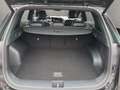 Kia Sportage SPORTAGE 1.6D 48V AWD DCT GTL Hybrid-Diesel Schwarz - thumbnail 18