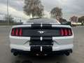 Ford Mustang Mustang 2.3 - 57.266 KM - Garantie 12 mois Blanc - thumbnail 5