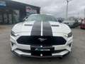 Ford Mustang Mustang 2.3 - 57.266 KM - Garantie 12 mois Blanc - thumbnail 2