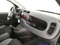 Fiat Panda 1.0 FireFly S&S Hybrid Grigio - thumbnail 15