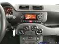 Fiat Panda 1.0 FireFly S&S Hybrid Grigio - thumbnail 16