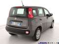 Fiat Panda 1.0 FireFly S&S Hybrid Grigio - thumbnail 5