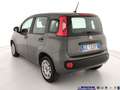 Fiat Panda 1.0 FireFly S&S Hybrid Grigio - thumbnail 7