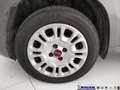 Fiat Panda 1.0 FireFly S&S Hybrid Grigio - thumbnail 20