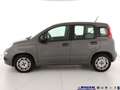 Fiat Panda 1.0 FireFly S&S Hybrid Grigio - thumbnail 8