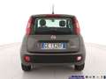 Fiat Panda 1.0 FireFly S&S Hybrid Grigio - thumbnail 6