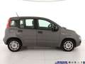 Fiat Panda 1.0 FireFly S&S Hybrid Grigio - thumbnail 4