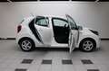 Kia Picanto 1.0 CVVT EconomyPlusLine - NAP Blanc - thumbnail 7