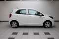 Kia Picanto 1.0 CVVT EconomyPlusLine - NAP Blanc - thumbnail 6