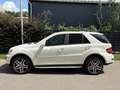 Mercedes-Benz ML 500 M-klasse / AUTOMAAT / NAVI / SCHUIFDAK / YOUNGTIME Wit - thumbnail 3