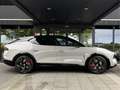 Lotus Eletre EDS 450 S 4WD 112 kWh Grau - thumbnail 4