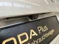 Skoda Karoq Tour 1.0 TSI Tempomat Rückfahrkamera Silber - thumbnail 21