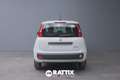 Fiat Panda 1.0 Firefly Hybrid 70CV 5p.ti + Pack City Bianco - thumbnail 5