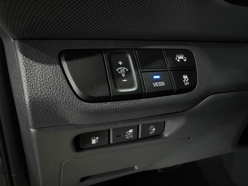 Hyundai IONIQ /Style/Elektro/SHZ/NAVI/ELEKTRO/LENKRADHEIZ — photo 14