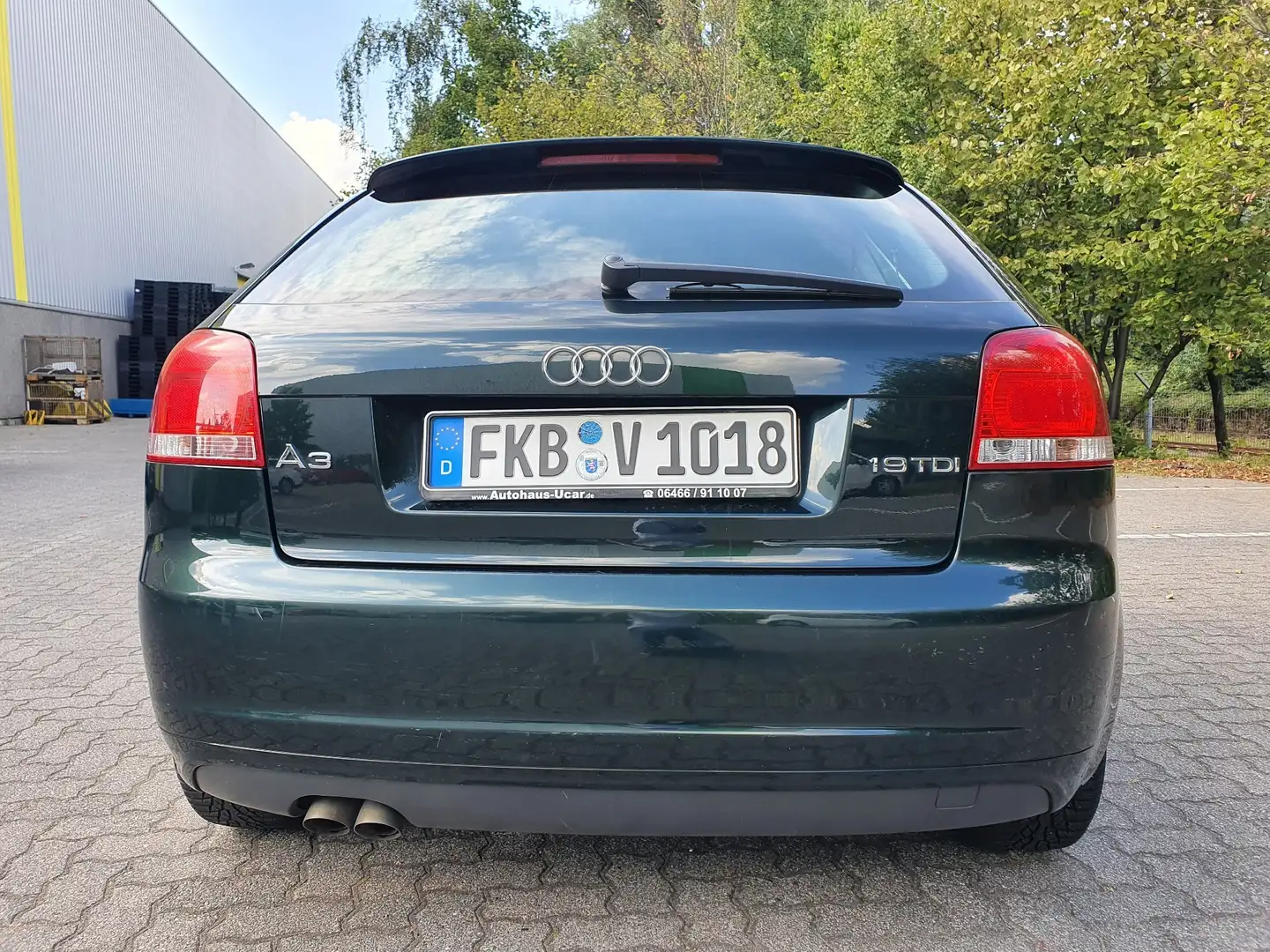 Audi A3 1.9 TDI DPF Ambiente Grün - 2