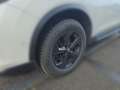 Nissan X-Trail 2.0dCi Tekna 4x4 Xtronic | LEDER | LED | Blanc - thumbnail 4