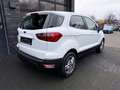 Ford EcoSport Cool & Connect Weiß - thumbnail 2