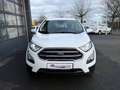 Ford EcoSport Cool & Connect Weiß - thumbnail 6