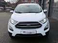 Ford EcoSport Cool & Connect Weiß - thumbnail 4