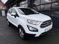 Ford EcoSport Cool & Connect Weiß - thumbnail 8