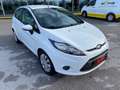 Ford Fiesta 1.4 TDCi 5p. "NEOPATENTATI" Weiß - thumbnail 24