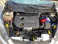 Ford Fiesta 1.4 TDCi 5p. "NEOPATENTATI" Weiß - thumbnail 23