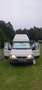 Ford Transit Nugget/Van/Camper zu verkaufen Blanc - thumbnail 1