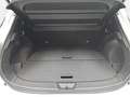 Nissan Qashqai QASHQAI 1.5 VC-T E-POWER AUTO. MY25 TEKNA PANORAMA Weiß - thumbnail 15