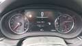 Opel Insignia Sports Tourer Grün - thumbnail 15
