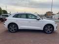 Audi Q5 40 TDI 204 CV quattro S tronic S line Blanc - thumbnail 7