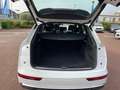 Audi Q5 40 TDI 204 CV quattro S tronic S line Blanco - thumbnail 24