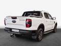 Ford Ranger Wildtrak AHK RFK Lenkradhz. DAB PDC uvm. Weiß - thumbnail 2