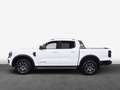 Ford Ranger Wildtrak AHK RFK Lenkradhz. DAB PDC uvm. Weiß - thumbnail 4
