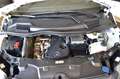 Mercedes-Benz Vito 116 CDI 4x4 Allrad lang  Automatik 9G Blanc - thumbnail 14