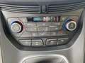 Ford C-Max 125pk Sport | Pack winter, Apple car, Camera | Grijs - thumbnail 18
