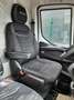 Iveco *TOP-AUSSTATTUNG* € 47.990,- NETTO Automatik Weiß - thumbnail 11