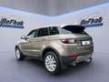 Land Rover Range Rover Evoque SE*LED*LEDER*PANORAMA*AHK*SHZ Braun - thumbnail 10