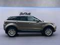 Land Rover Range Rover Evoque SE*LED*LEDER*PANORAMA*AHK*SHZ Braun - thumbnail 11