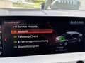 BMW X4 X4 xDrive 20d M Sportpaket Grau - thumbnail 17