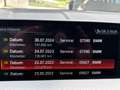 BMW X4 X4 xDrive 20d M Sportpaket Grau - thumbnail 16
