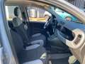 Fiat Panda 1.0  S&S Hybrid OK NEOPATENTATI Grigio - thumbnail 11