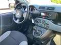 Fiat Panda 1.0  S&S Hybrid OK NEOPATENTATI Grigio - thumbnail 3