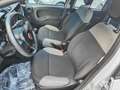 Fiat Panda Panda III 2021 1.0 firefly hybrid Grigio - thumbnail 15
