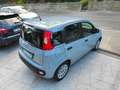 Fiat Panda Panda III 2021 1.0 firefly hybrid Grigio - thumbnail 7