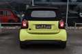 smart forTwo Cabrio Elektro EQ*Leder*Kamera*Premium* Verde - thumbnail 4