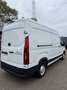 Maxus Deliver 9 2.0 TDCi L3H2 Base FWD (EU6.2) Blanc - thumbnail 7