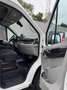 Maxus Deliver 9 2.0 TDCi L3H2 Base FWD (EU6.2) Blanc - thumbnail 15