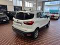 Ford EcoSport 1.0 EcoBoost 100 CV ST-Line Black Edition Weiß - thumbnail 4