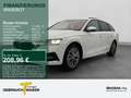 Skoda Octavia Combi 2.0 TDI TOUR LM17 SITZHZG LED PDC Weiß - thumbnail 1